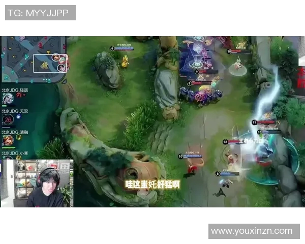 王者荣耀热点分析：深入探讨JDG战队的控制策略与战术运用